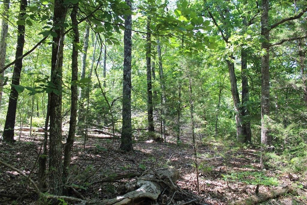 Picture 17