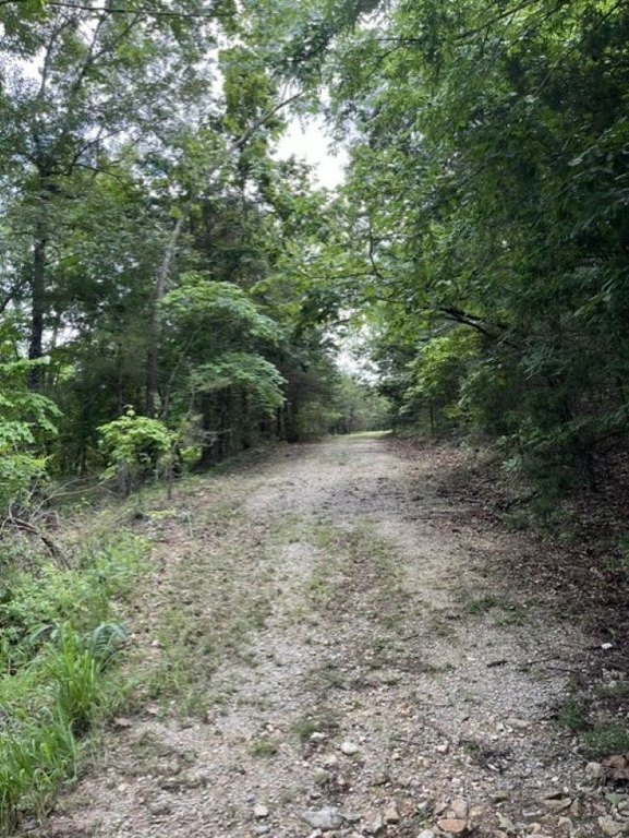 Picture 4