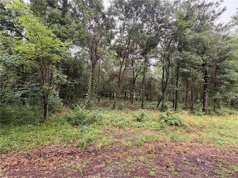 Wooded Residential Land Lots