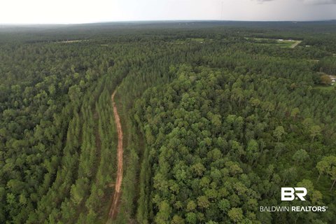 Unzoned Wooded Land with Road Frontage