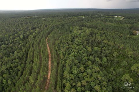 Unzoned Wooded Land with Road Frontage
