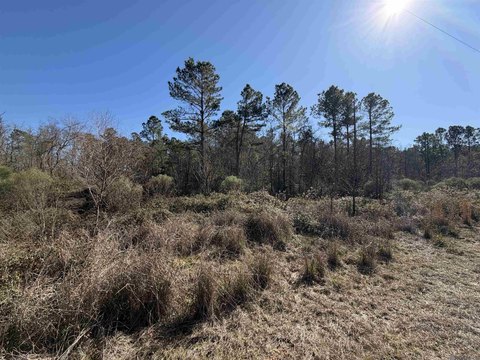 Land, Livingston, LA