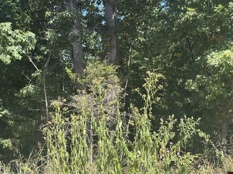 LAND, Briarcliff, AR