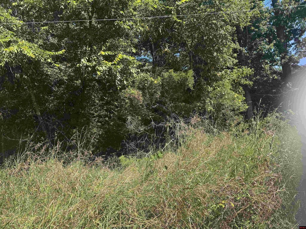 Picture 9