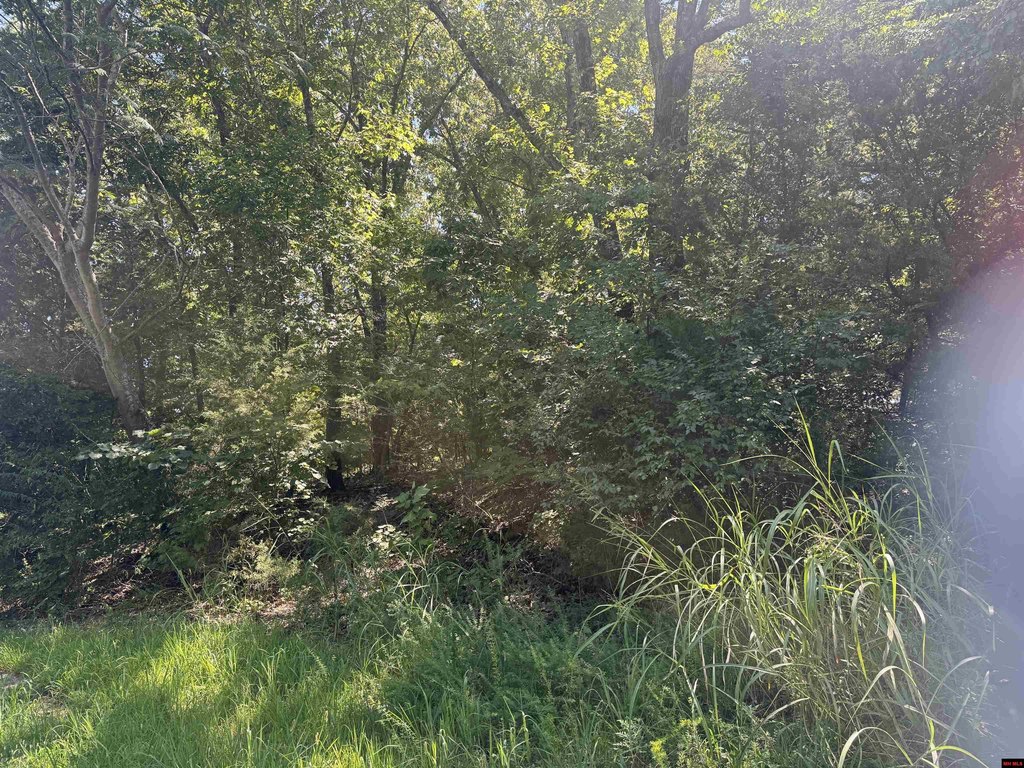 Picture 3