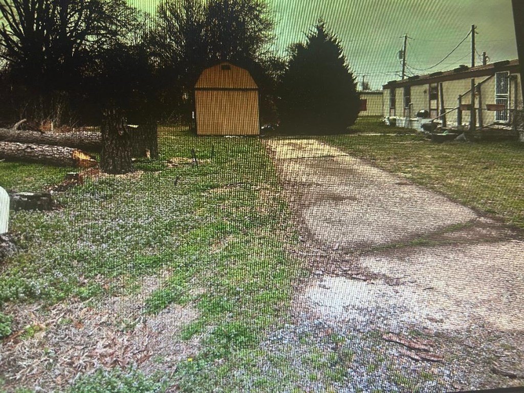 Picture 2