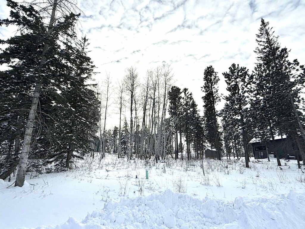 Picture 6