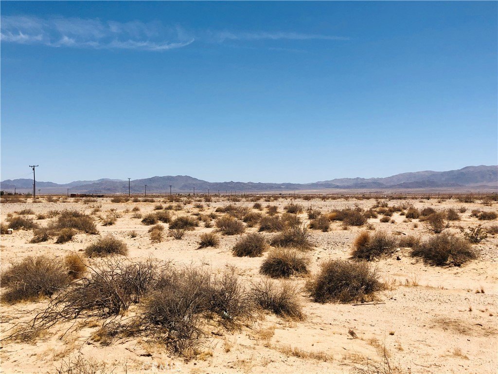 Picture 6