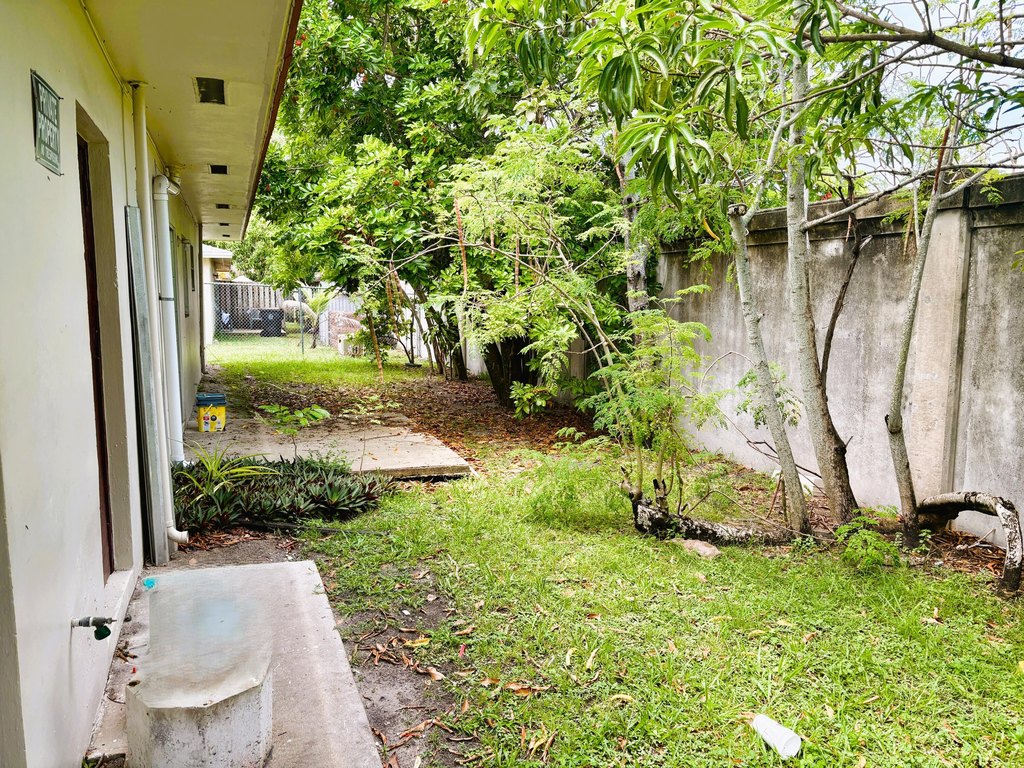 Picture 11