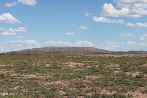Land, Concho, AZ