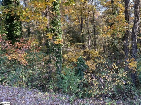 LAND - Anderson, SC