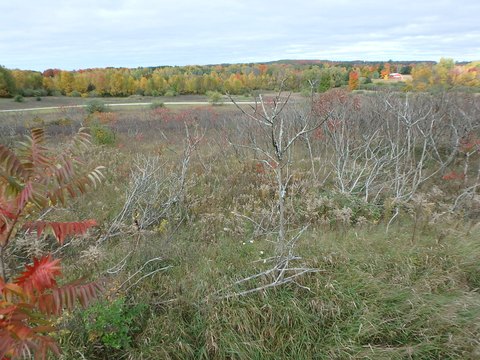Residential Lot Near Lake Michigan