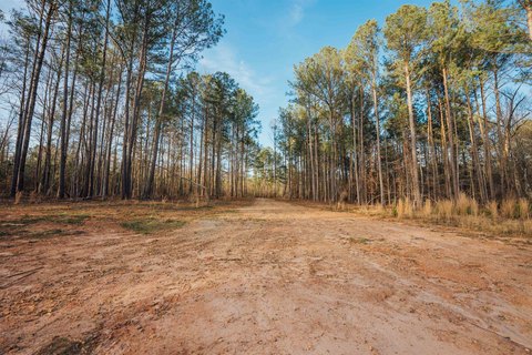 28.61 Acres in Morgan County