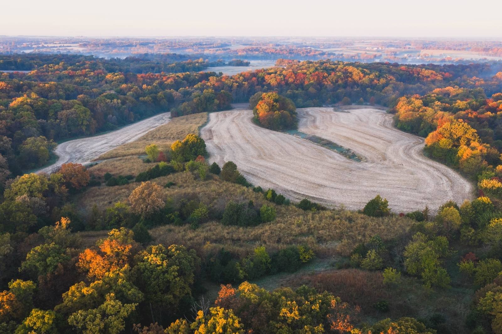 Baylis, IL Vacant Land For Sale