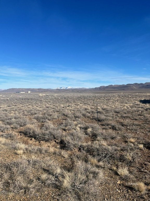 Picture 10