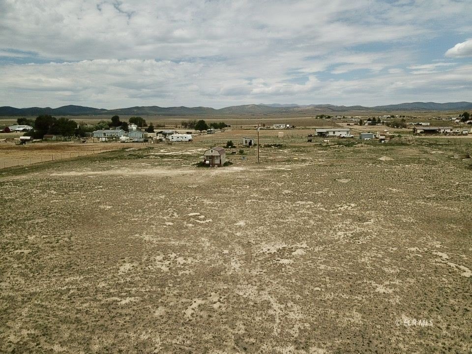 Picture 43