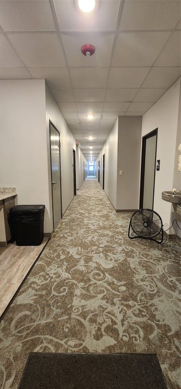 Picture 17