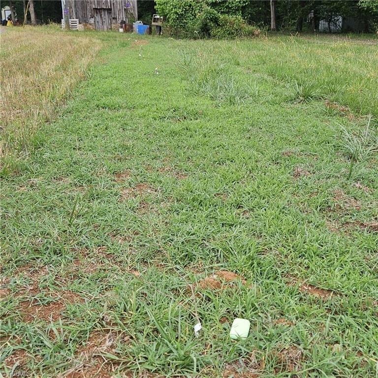 Picture 17