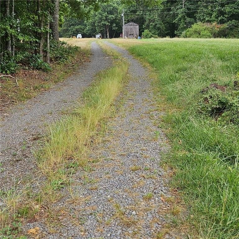 Picture 7