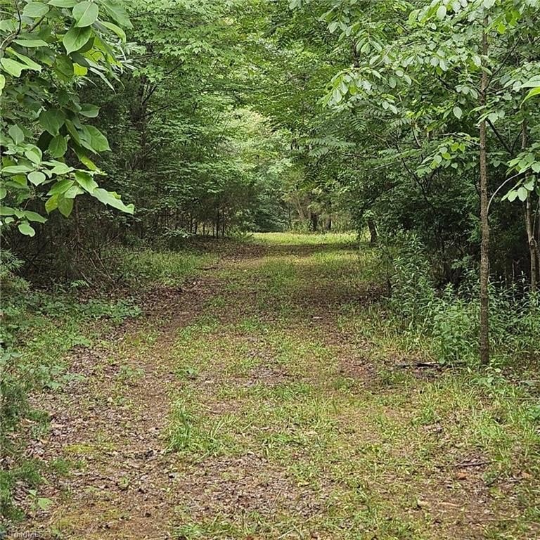 Picture 37