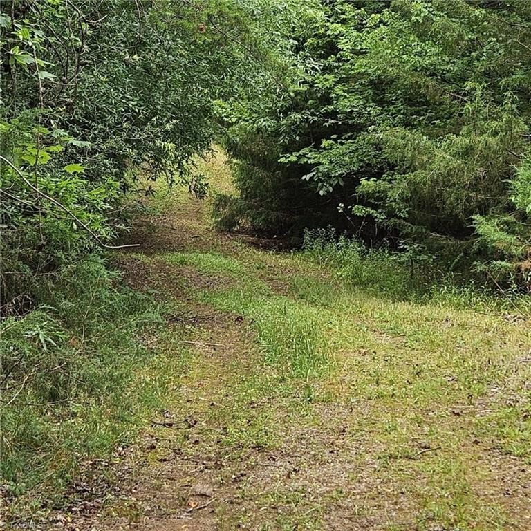 Picture 38