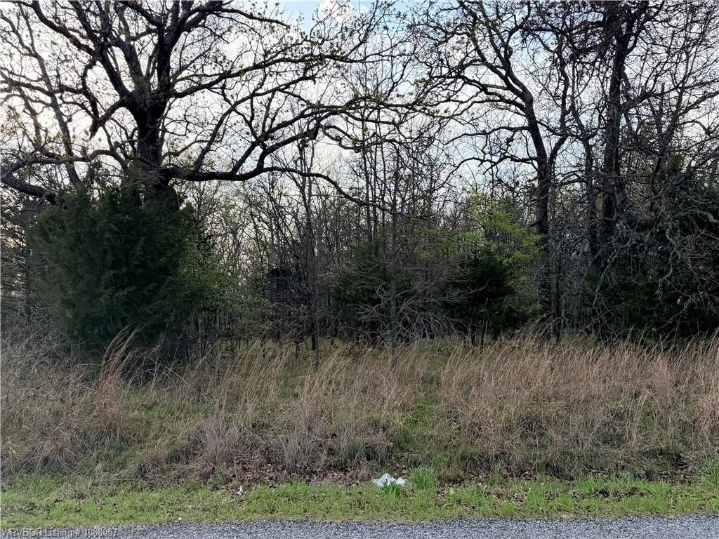 Land in Eastlake Hills