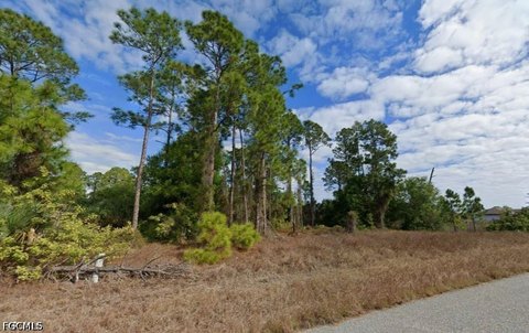 Land, Lehigh Acres, FL