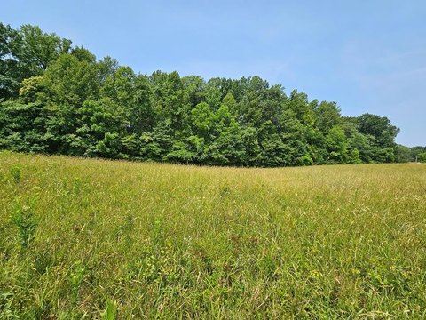Land with Road Frontage
