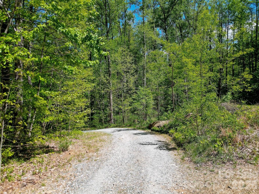 Picture 31