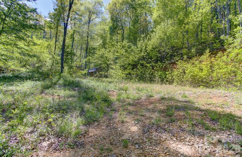 LAND - Candler, NC