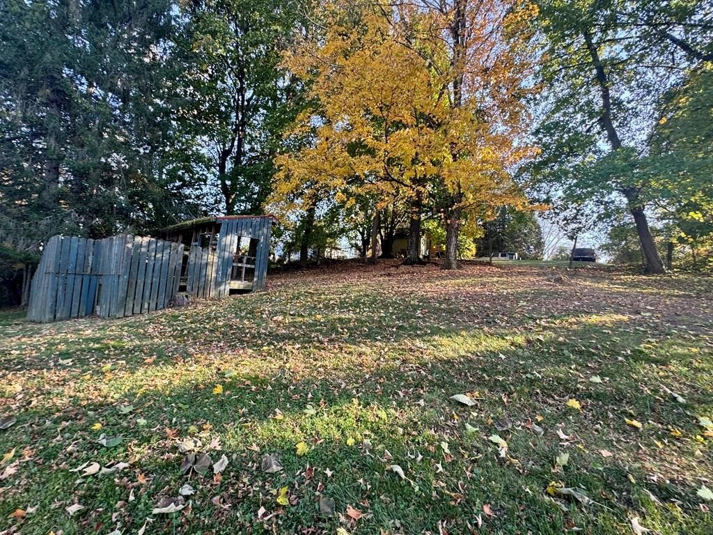 Picture 19