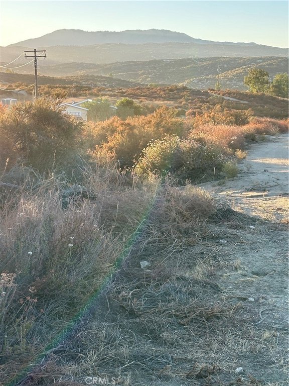 Picture 3