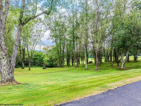 LAND - Kingwood, WV