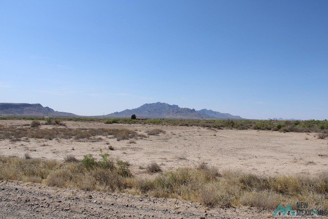 Picture 6