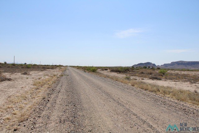 Picture 4