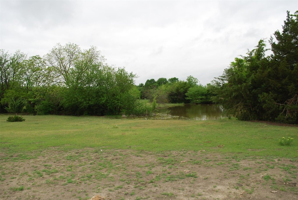 Picture 4