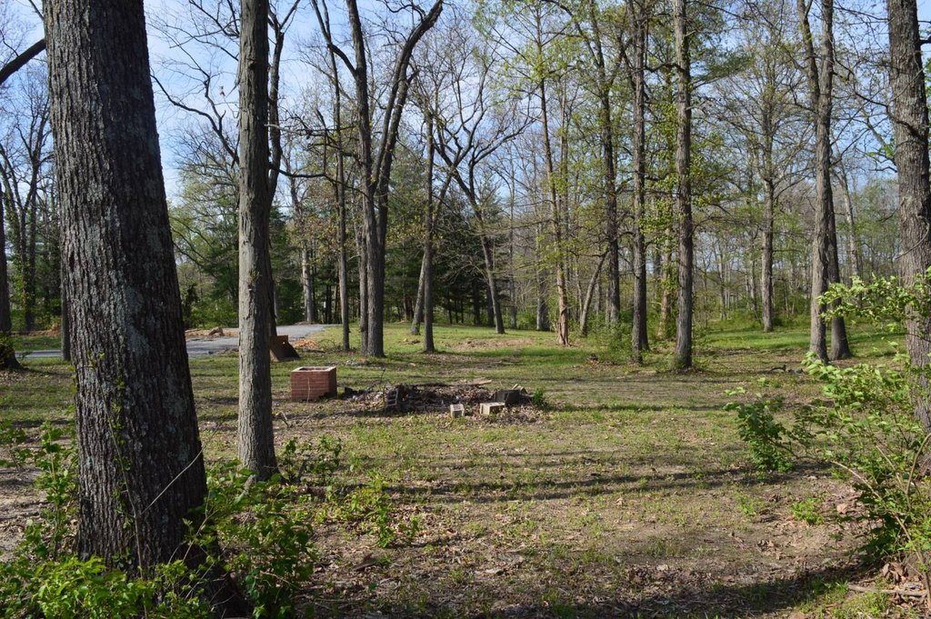 Picture 5