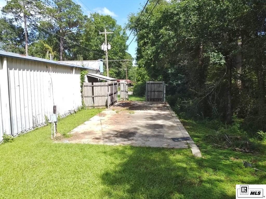 Picture 12