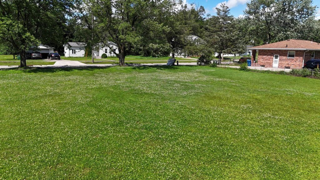 Picture 5