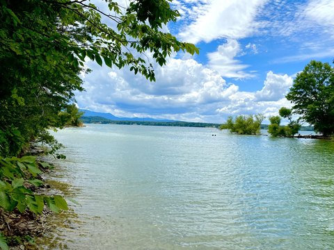 Douglas Lake Lakefront Lot