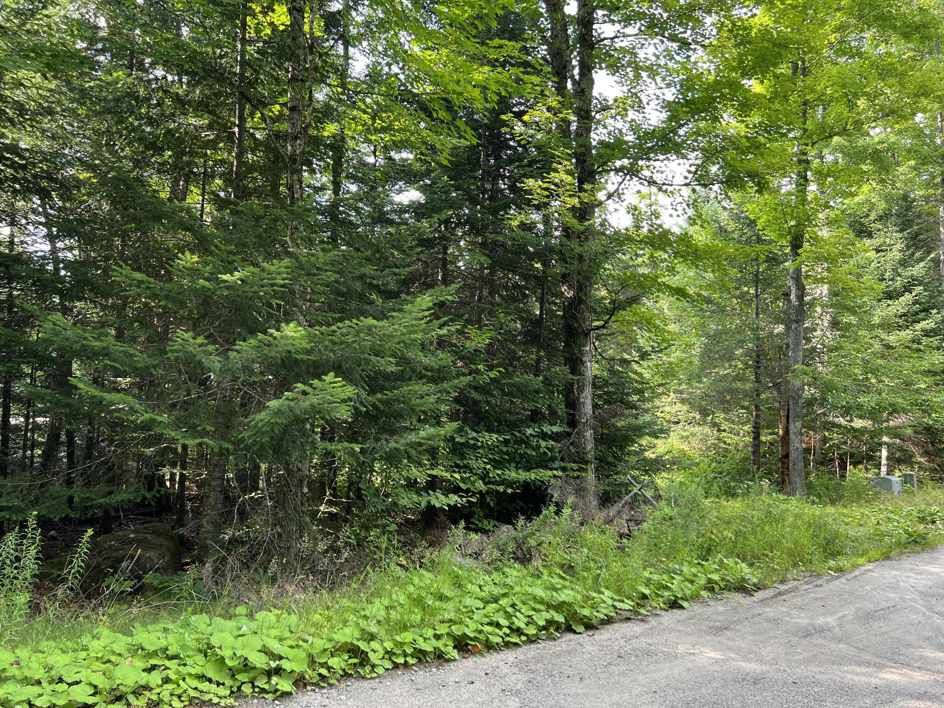 Lake Placid Residential Land