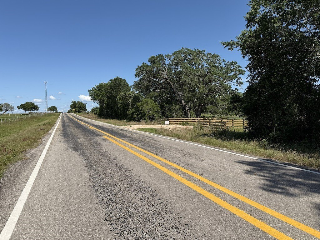 Picture 21