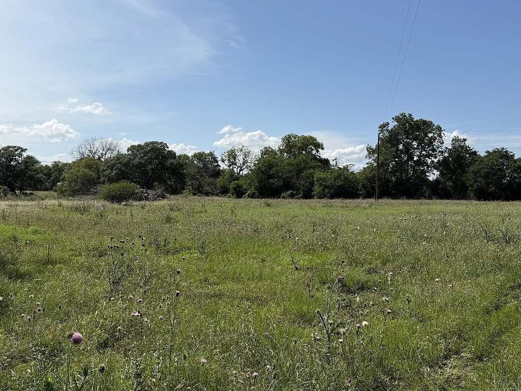 Picture 12