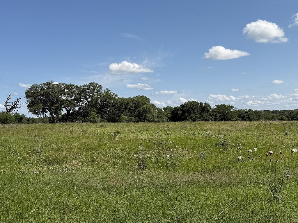 Picture 10