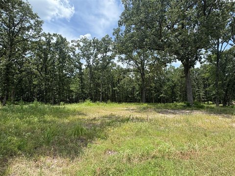Lake Fork Ready-to-Build Lot