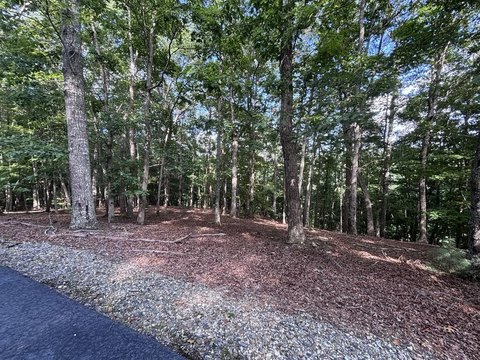 LAND - Blairsville, GA