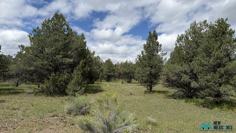 Land, Quemado, NM