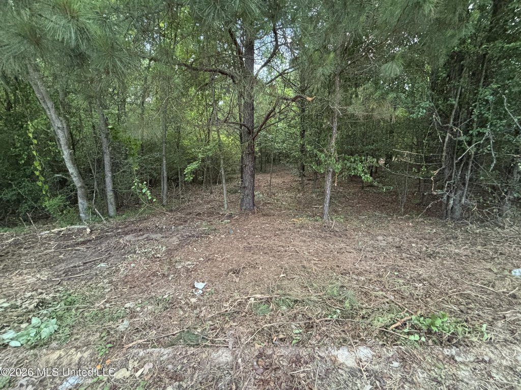 Picture 8