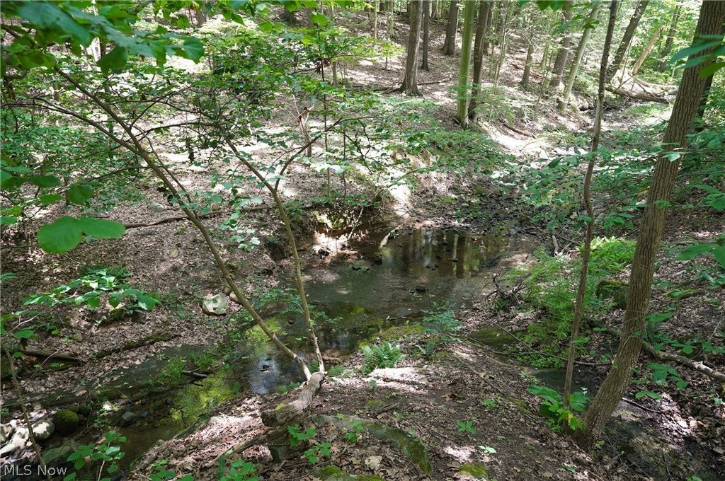 Picture 7