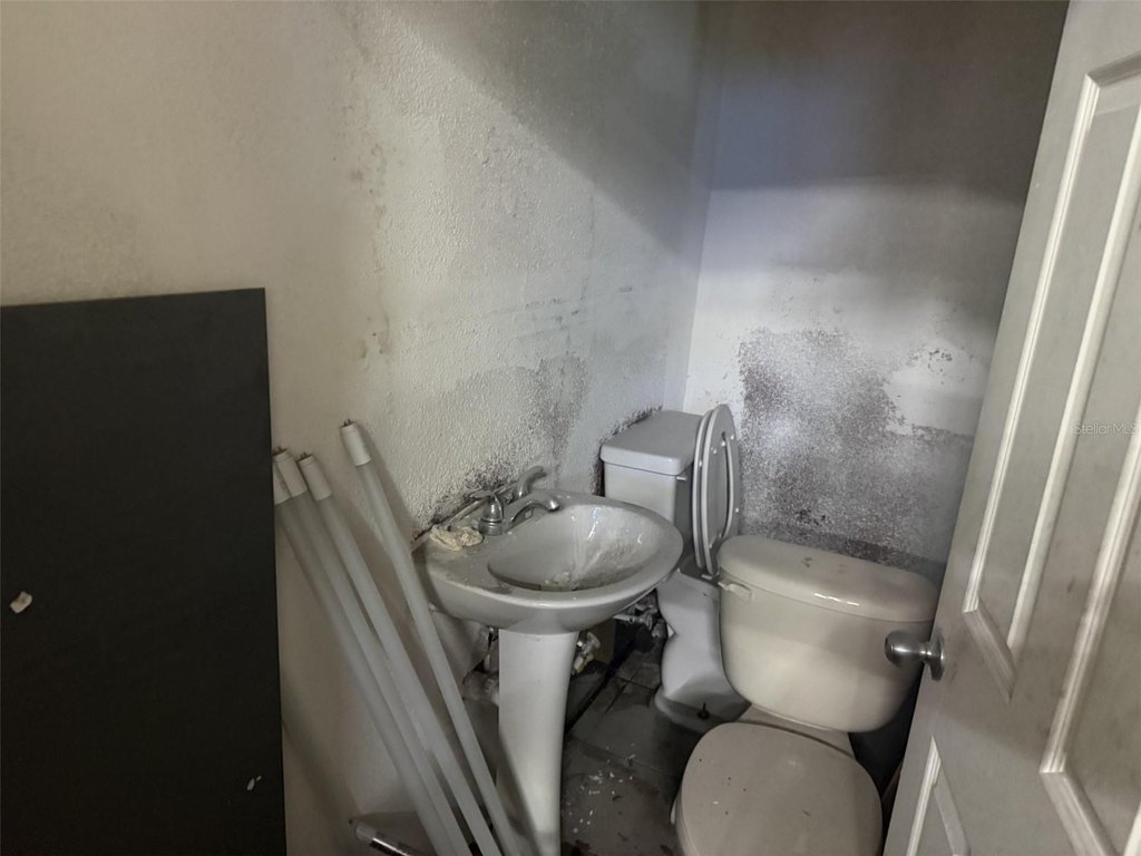 Picture 18
